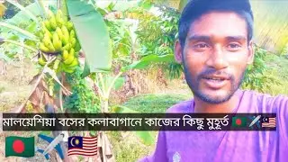 মালয়েশিয়া বসের কলাবাগানে কাজের কিছু মুহূর্ত 🇧🇩✈️🇲🇾মালয়েশিয়া কাজের ভিডিও 😱#2025 #zero1