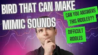 25 best riddles of all time #riddles #quizmaster