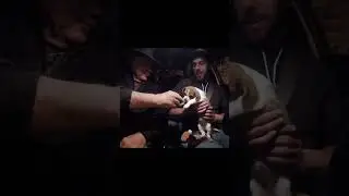 Surprising Uber Riders with a Puppy