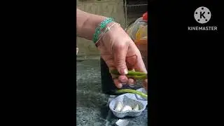 53.Daily routine ASMR #chatni from raw  spices of my garden #Morning ritual tasty chatni@naturelover