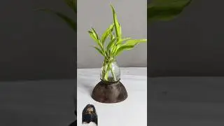 coconut shell plant pot🥥🪴 #diy #craft #handmade #coconutshellcraft