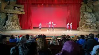 Disney Performance 2019