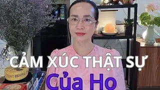 CẢM XÚC CỦA HỌ TRONG QUAN HỆ NÀY