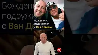 А как поступили бы вы?