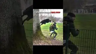 Other Dogs Doing Wall Jump Vs This Dog 😱 #trollface
