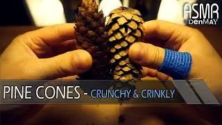 ASMR Pine Cones, Crunchy & Crinkly (NO TALKING)
