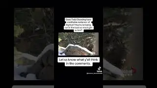 Does Todd Standing have great evidence or a great hoax of #bigfoot let us know #cryptids #foryou