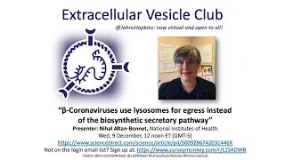 Nihal Altan-Bonnet: Beta-Coronaviruses use lysosomes for egress