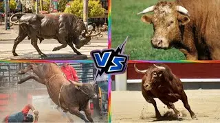 FUNNY BULLS. VS BATTLE. TILES HOP EDM RUSH