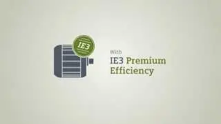 IE3 Premium Efficiency motors