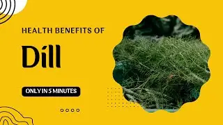 Health Benefits of Dill