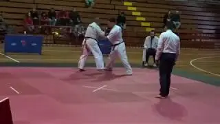 Kyokushin Matsushima Chile VS Seiwakai Bolivia / Torneo nacional de Karate Seiwakai / Nicolas Fonttz