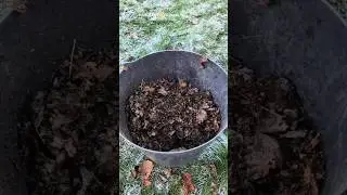 How to make organic fertilizer for soil planting media #bonsai #soilhealth #bonsaitree
