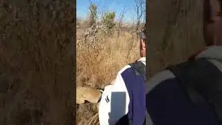 K9 Nala Missing Person