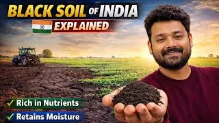 Black soil Explained | Types of Soils in India | Indian Geography Notes for UPSC 