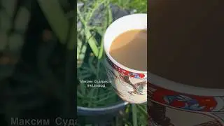 Уютные моменты на пасеке: пчелы пьют воду, а я наслаждаюсь кофе!