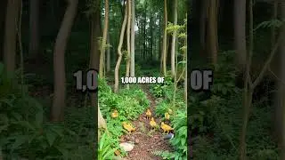 The Unexpected Tech Tip That Saved the Environment!