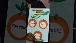 Seventeen Oranges Teaching Aid|B.ed Working model|TN Textbook|9 std #b_ed_course #teachingmaterials