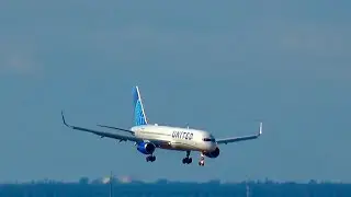 Steep 757 Landing Birds 1L 22 Degrees! Plane Spotting TPA