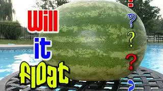 Will It Float - Watermelon