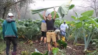 Conservation in the Galapagos Islands, Projects Abroad