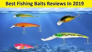 Top 3 Best Fishing Baits Reviews In 2020