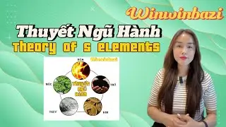 23/01/2024 Thuyết Ngũ H&agrave;nh - The theory of the five elements