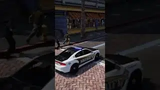 Foot Pursuit | GTA V LSPDFR