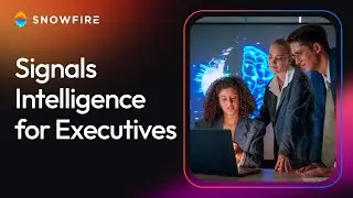 Signals Intelligence for Executives - Snowfire AI