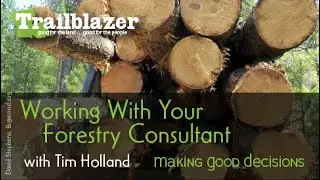 Making Good Decisions:  Working With Your Forestry Consultant With Tim Holland