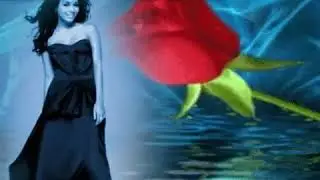 Mladen Grdović - Adio svi moji ljudi.wmv