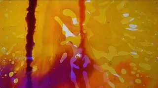 Maida Rose - Where Do We Go (Official Lyric Video)