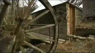 Backyard Revolution