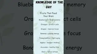 Fast Learning Shorts &ndash; Upgrade Your Brain!#knowledge #viral #shortsfeed #shorts
