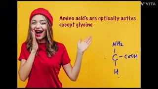 Amino acids, interesting facts about chemistry, glycine amino acid