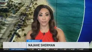 Quickcast: Mother Accused Of Beating Toddler Out Of Jail. Don Jr. Takes Stand. Dolphins In Germany!