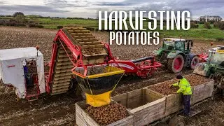 Erwins Harvesting Potatoes With Fendts and Grimme Harvester