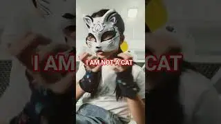 I AM NOT A CAT #therian #dontbullytherians #cat #iamnot
