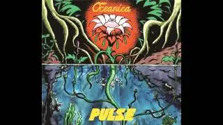 Pulse - Oceanica - 09 New York Odyssey (Live)
