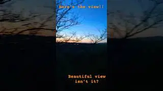 Tree climbing at sunset :3 #nature #sunset #edit #beautiful #fypシ #music