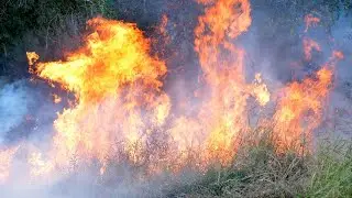 Emergency warning issued for southern Qld bushfire