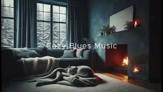 [Playlist]  Cozy Blues Piano Ambient | Cozy Cat | 1 Hour