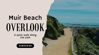 Muir beach overlook tour