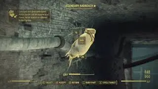 Giant Radroach