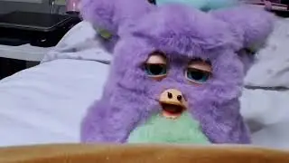 Spanish Funky Furby Test Mode. Movements + Audio.