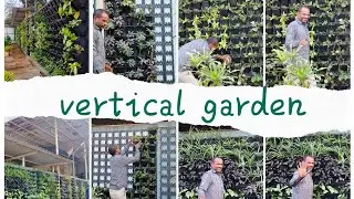 &ldquo;Vertical garden at vadolgao unr  MIDC 🌿. &ldquo;Turning factory walls into living walls 🌿#VerticalGarden