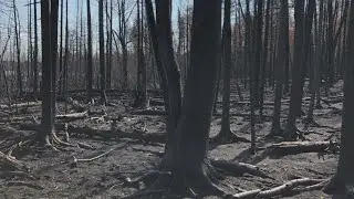 Greenwood Fire Now 80% Contained