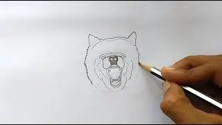 How to draw an angry bear 🐻 face/ Animal face sketching/ Aravindhtrartworks