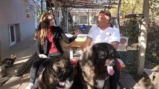 За любовта към кучетата и родното село: Какъв е животът на Ерджан Ебатин извън политиката?