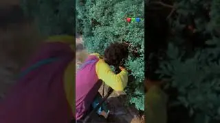 what goes on behind the scene